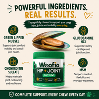 Woofio |  Hip & Joint Chews