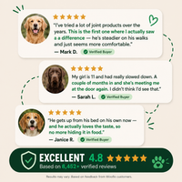 Woofio |  Hip & Joint Chews