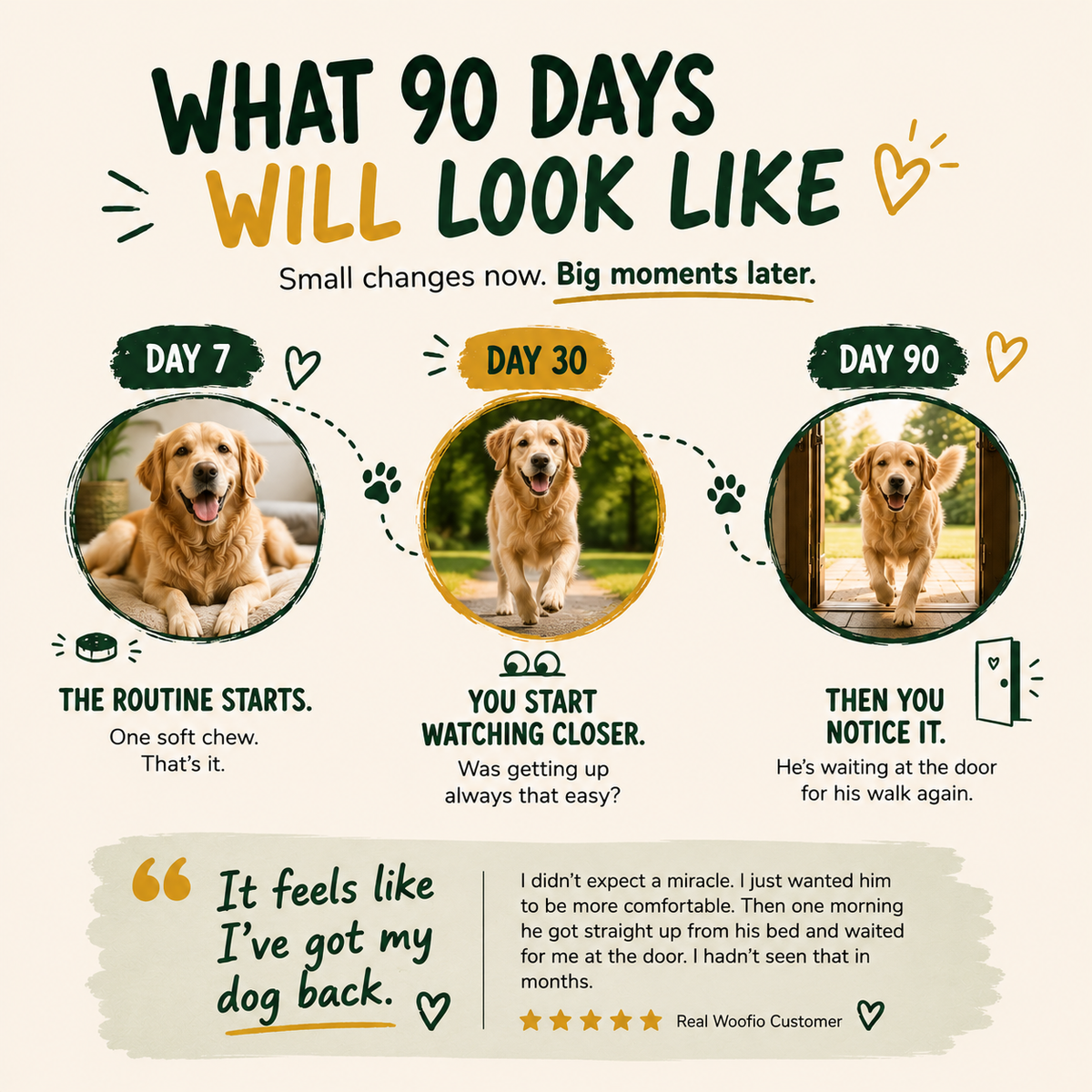 Woofio |  Hip & Joint Chews