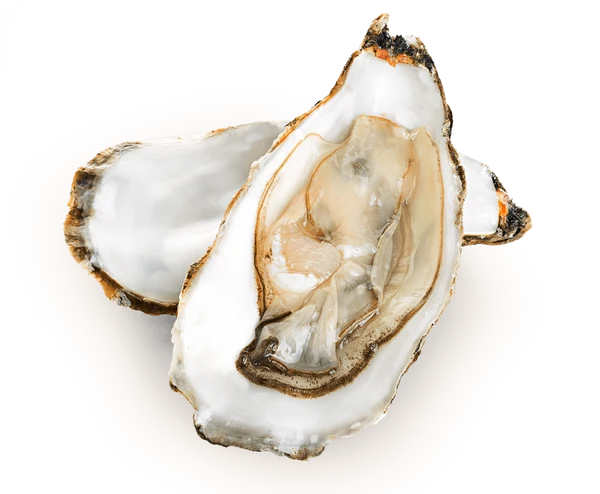 Glucosamine
